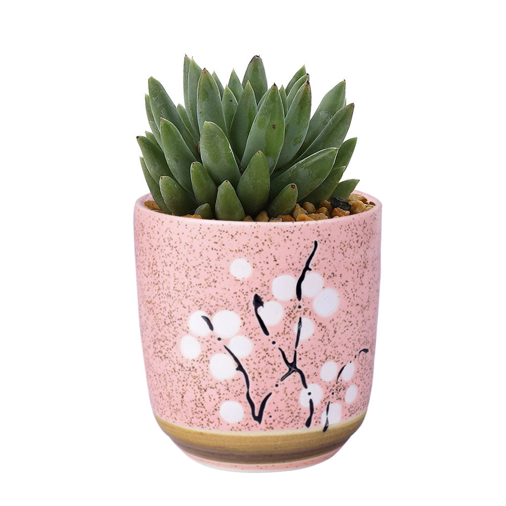 Cute Ceramic Decorative Flower Pots-home accent-wanahavit-Round Pink-wanahavit