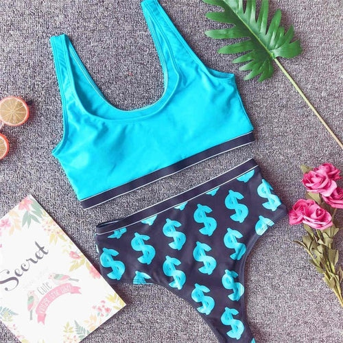 Load image into Gallery viewer, Sexy Dollar Printed High Waist Bikini-women fitness-wanahavit-Sky Blue-L-wanahavit
